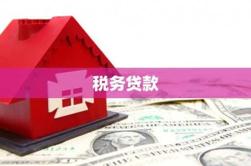江口税务贷款