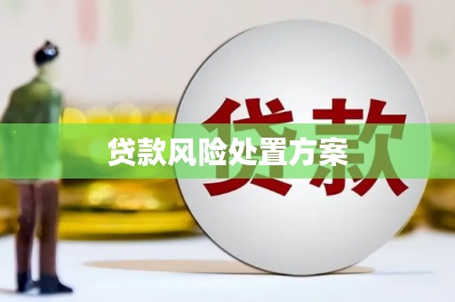 华县贷款风险处置方案