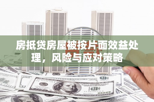 青云谱房抵贷房屋被按片面效益处理，风险与应对策略