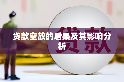 云霄贷款空放的后果及其影响分析