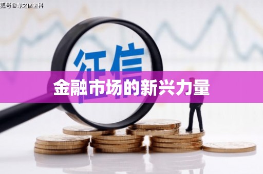 清原金融市场的新兴力量