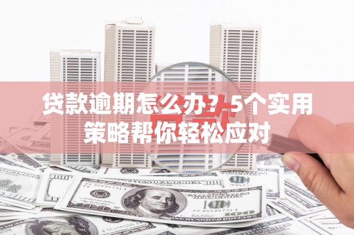 南召贷款逾期怎么办？5个实用策略帮你轻松应对