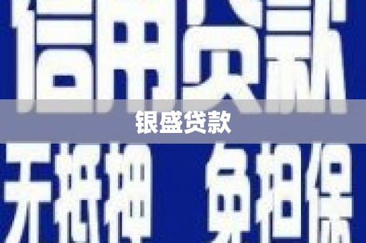山南银盛贷款