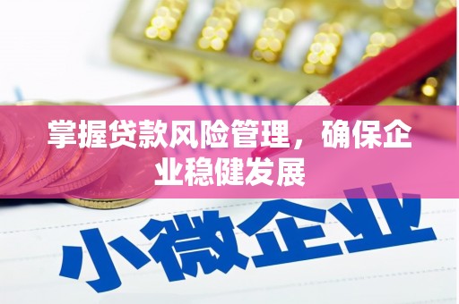 那坡掌握贷款风险管理，确保企业稳健发展