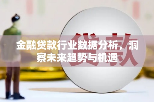 那坡金融贷款行业数据分析，洞察未来趋势与机遇