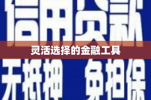 邕宁灵活选择的金融工具