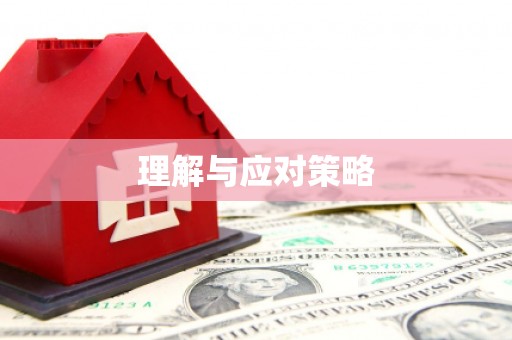 武清理解与应对策略