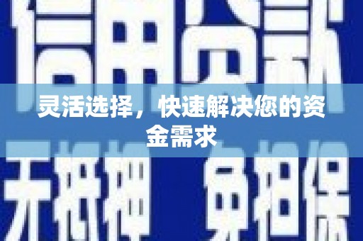 南山灵活选择，快速解决您的资金需求