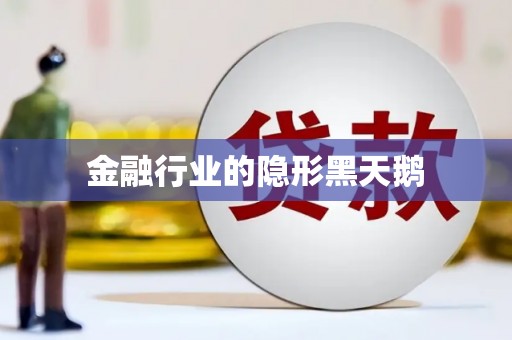 宁武金融行业的隐形黑天鹅