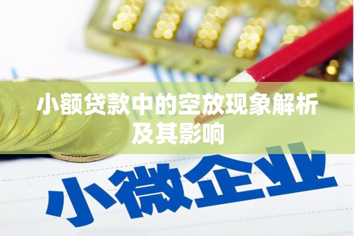 凤泉小额贷款中的空放现象解析及其影响