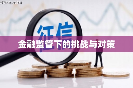 马村金融监管下的挑战与对策