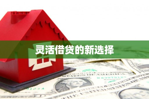 武安灵活借贷的新选择