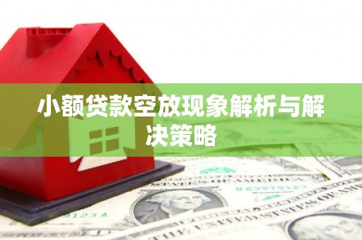 香河小额贷款空放现象解析与解决策略